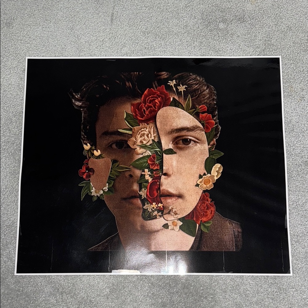 Laminated Shawn Mendes The Album Poster